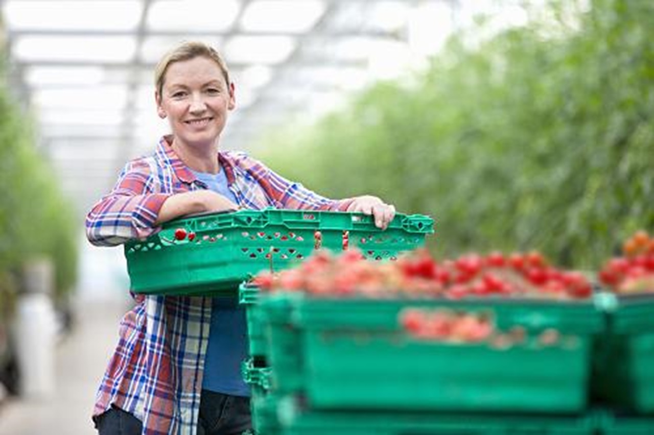 BioLPG for Business, Renewable Energy For Business Calor Gas