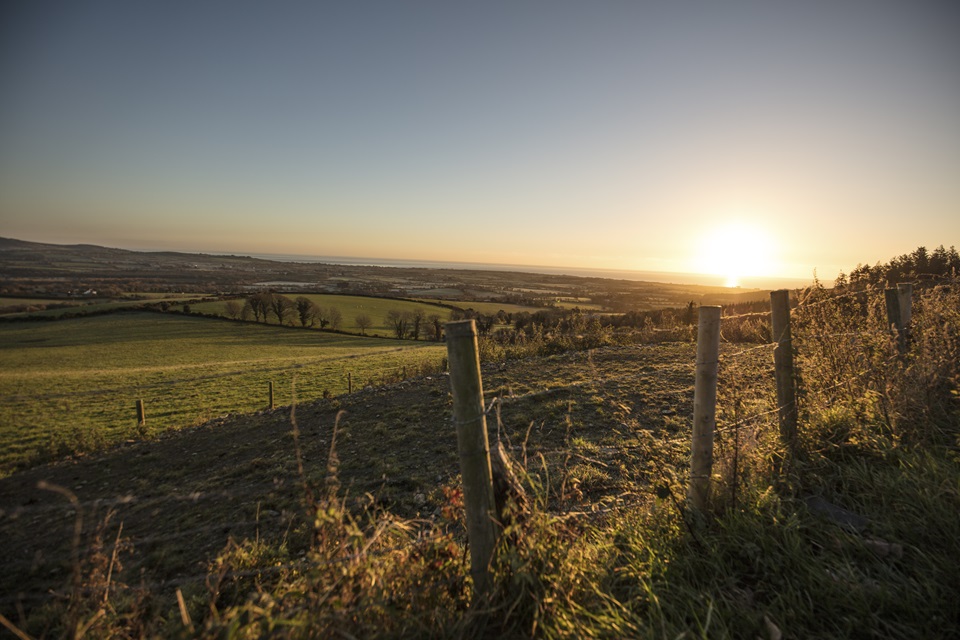 About Calor LPG Suppliers & Energy Services Ireland Calor Gas