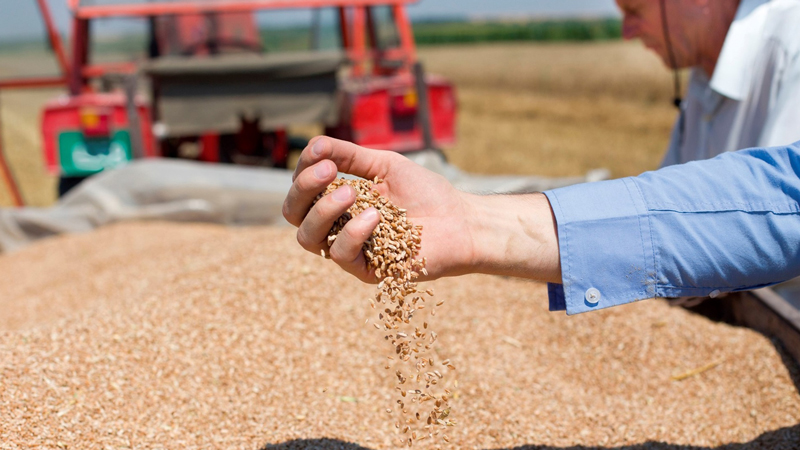 Calorgas grain drying