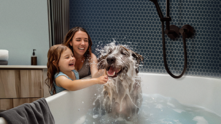 family happily bathing pet dog