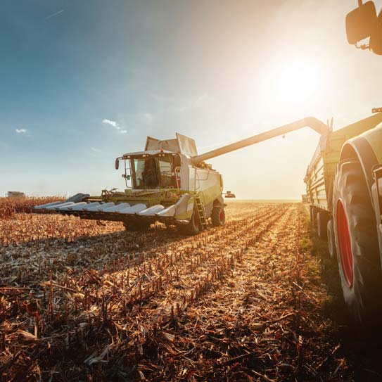 Crop drying agriculture