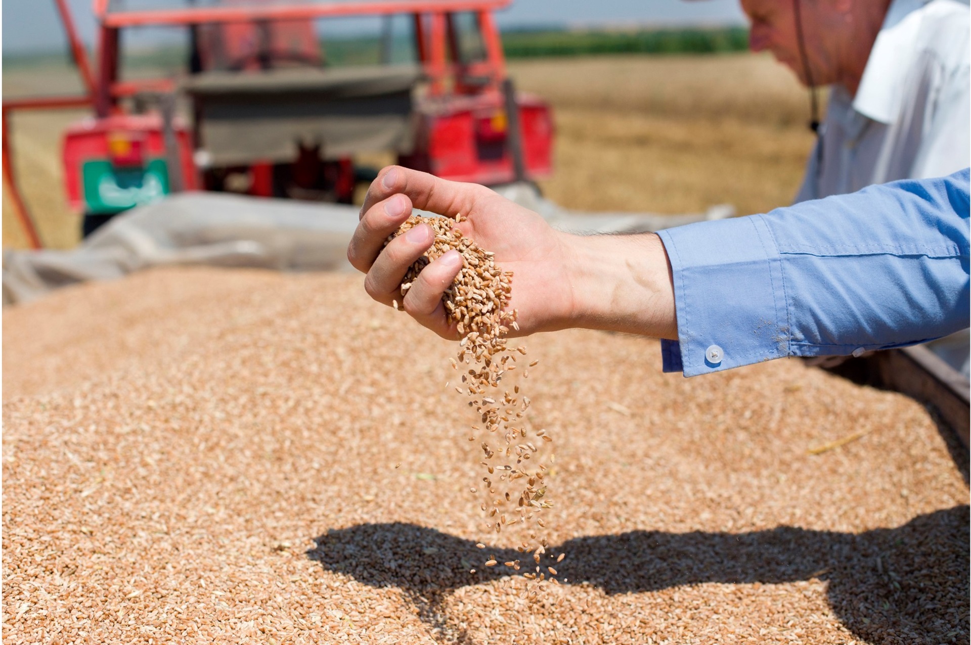 Grain Drying with LPG, Gas for Crop Drying Calor