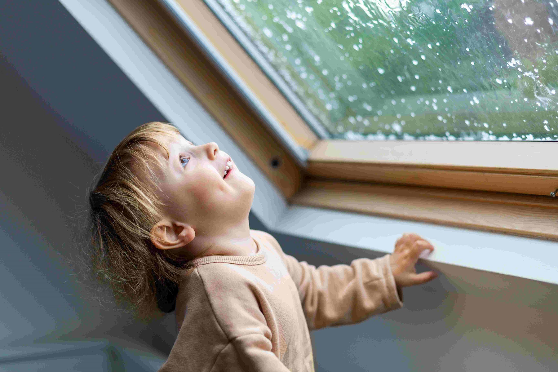 Storm-Proof Your Home: Rural Energy Solutions by Calor Ireland