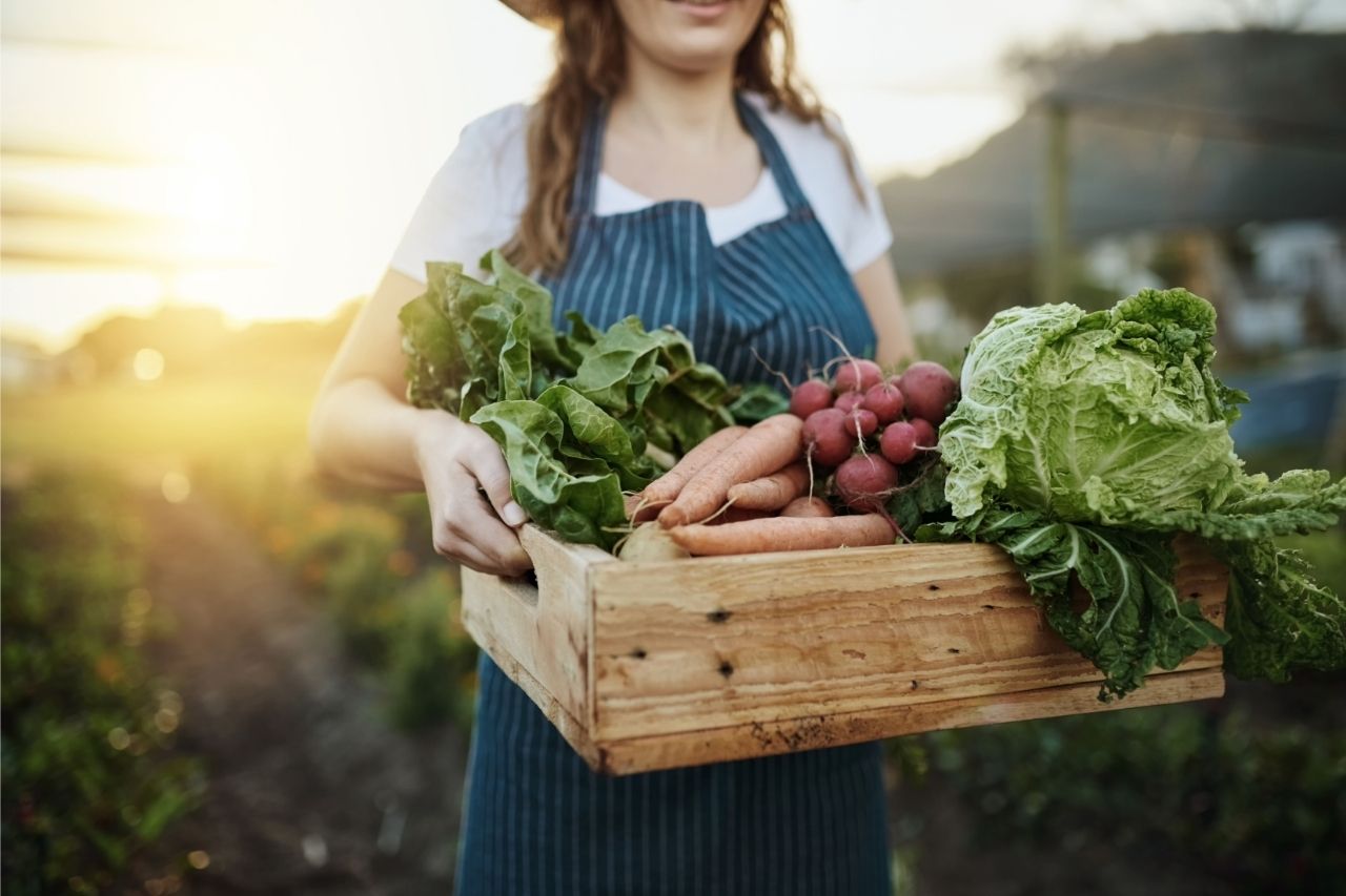 farm vegetables